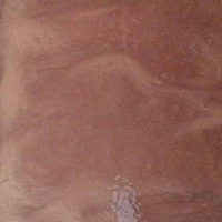 coral floor coating