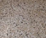 epoxy garage floor Safari